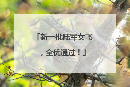 新一批陆军女飞，全优通过！