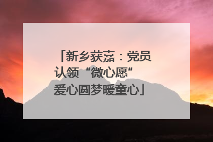 新乡获嘉：党员认领“微心愿” 爱心圆梦暖童心