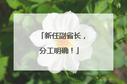 新任副省长，分工明确！