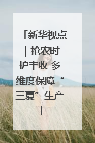 新华视点｜抢农时 护丰收 多维度保障“三夏”生产