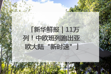 新华鲜报｜11万列！中欧班列跑出亚欧大陆“新时速”