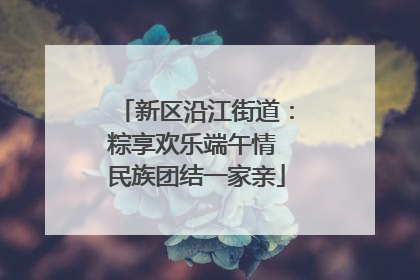 新区沿江街道：粽享欢乐端午情 民族团结一家亲