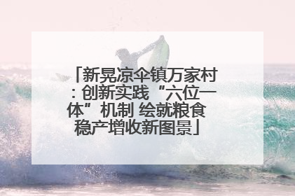 新晃凉伞镇万家村：创新实践“六位一体”机制 绘就粮食稳产增收新图景