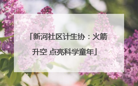 新河社区计生协：火箭升空 点亮科学童年