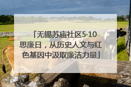 无锡苏庙社区5·10思廉日，从历史人文与红色基因中汲取廉洁力量