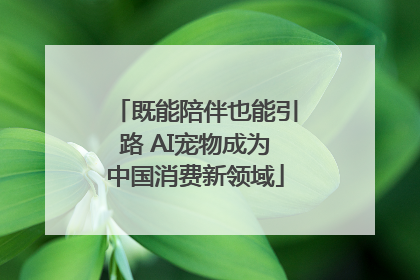 既能陪伴也能引路 AI宠物成为中国消费新领域