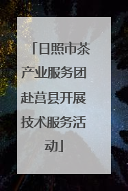 日照市茶产业服务团赴莒县开展技术服务活动