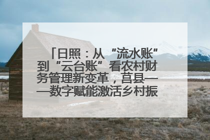 日照：从“流水账”到“云台账”看农村财务管理新变革，莒县——数字赋能激活乡村振兴“一池春水”