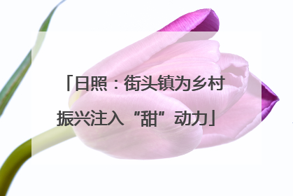 日照：街头镇为乡村振兴注入“甜”动力