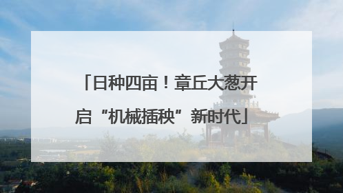 日种四亩！章丘大葱开启“机械插秧”新时代