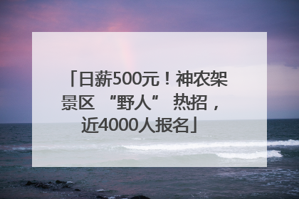 日薪500元！神农架景区 “野人” 热招，近4000人报名