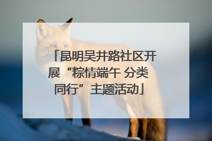 昆明吴井路社区开展“粽情端午 分类同行”主题活动