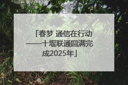 春梦 通信在行动——十堰联通圆满完成2025年