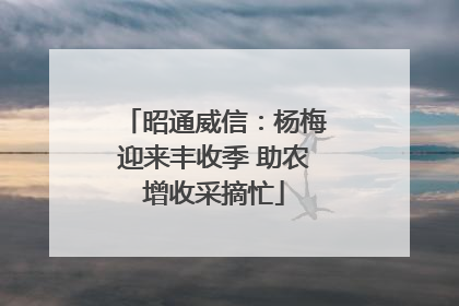 昭通威信：杨梅迎来丰收季 助农增收采摘忙