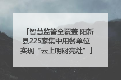 智慧监管全覆盖 阳新县225家集中用餐单位实现“云上明厨亮灶”