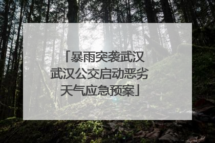 暴雨突袭武汉 武汉公交启动恶劣天气应急预案