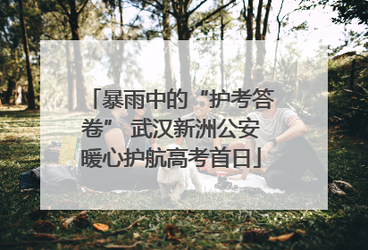 暴雨中的“护考答卷” 武汉新洲公安暖心护航高考首日