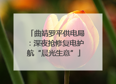 曲靖罗平供电局：深夜抢修复电护航“晨光生意”