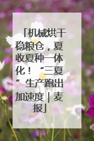机械烘干稳粮仓，夏收夏种一体化！“三夏”生产跑出加速度｜麦报