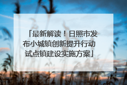 最新解读！日照市发布小城镇创新提升行动试点镇建设实施方案