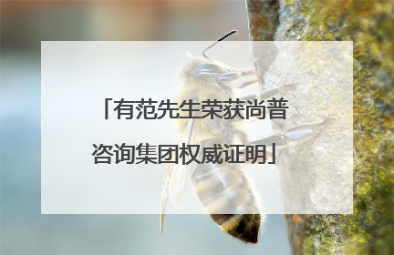 有范先生荣获尚普咨询集团权威证明