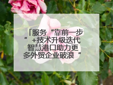 服务“靠前一步”+技术升级迭代 智慧港口助力更多外贸企业破浪“出海”
