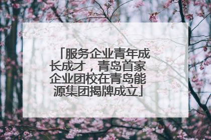 服务企业青年成长成才，青岛首家企业团校在青岛能源集团揭牌成立