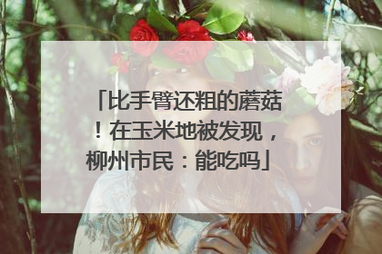 比手臂还粗的蘑菇！在玉米地被发现，柳州市民：能吃吗