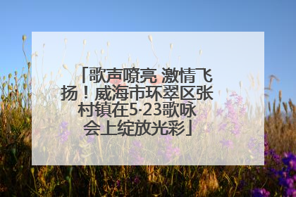 歌声嘹亮 激情飞扬！威海市环翠区张村镇在5·23歌咏会上绽放光彩
