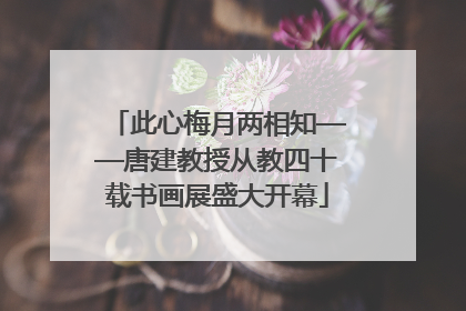 此心梅月两相知——唐建教授从教四十载书画展盛大开幕