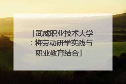 武威职业技术大学：将劳动研学实践与职业教育结合