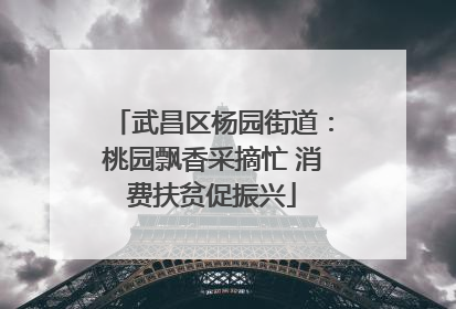武昌区杨园街道：桃园飘香采摘忙 消费扶贫促振兴