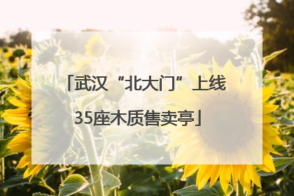 武汉“北大门”上线35座木质售卖亭