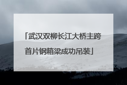 武汉双柳长江大桥主跨首片钢箱梁成功吊装