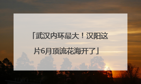 武汉内环最大！汉阳这片6月顶流花海开了