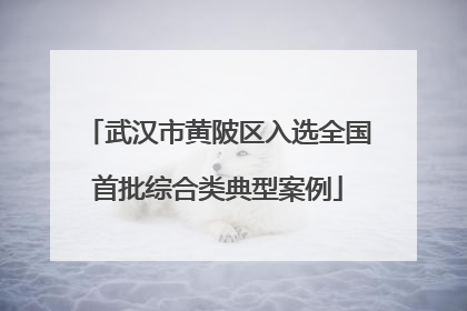 武汉市黄陂区入选全国首批综合类典型案例