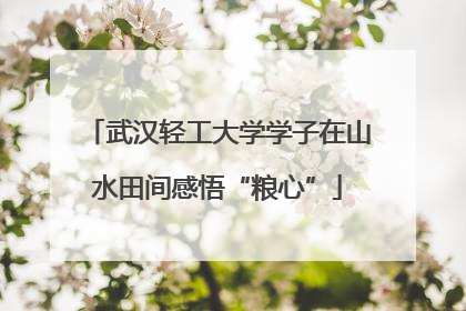 武汉轻工大学学子在山水田间感悟“粮心”
