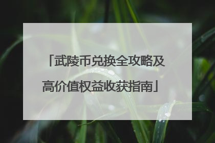 武陵币兑换全攻略及高价值权益收获指南