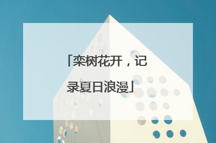 栾树花开，记录夏日浪漫