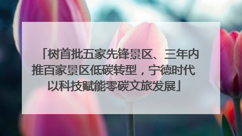 树首批五家先锋景区、三年内推百家景区低碳转型，宁德时代以科技赋能零碳文旅发展