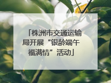 株洲市交通运输局开展“银龄端午福满情”活动