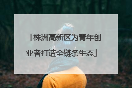 株洲高新区为青年创业者打造全链条生态