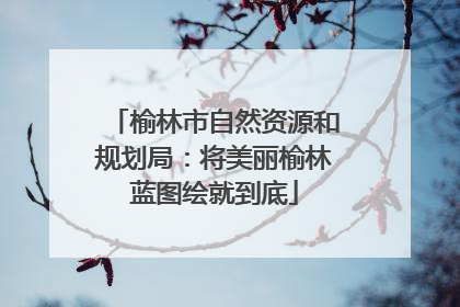 榆林市自然资源和规划局：将美丽榆林蓝图绘就到底