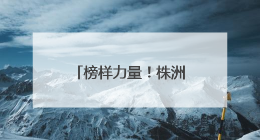 榜样力量！株洲一批“热血英雄”受省级表彰