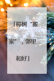 樟树“搬家”，邻里和好