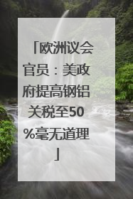 欧洲议会官员：美政府提高钢铝关税至50%毫无道理