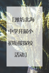 潍坊北海中学开展小初衔接探校活动