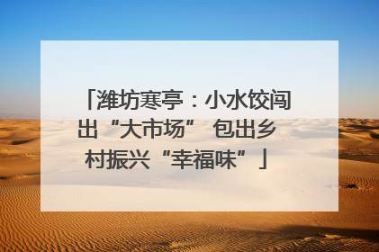 潍坊寒亭：小水饺闯出“大市场” 包出乡村振兴“幸福味”
