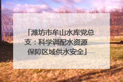 潍坊市牟山水库党总支：科学调配水资源 保障区域供水安全