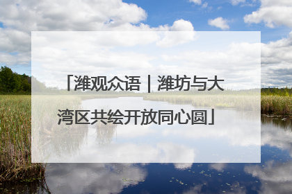 潍观众语｜潍坊与大湾区共绘开放同心圆